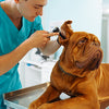 Veterinary Combined Diagnostic Sets
