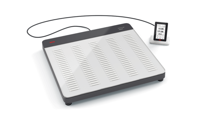 Seca 651 Flat Scales - SECA