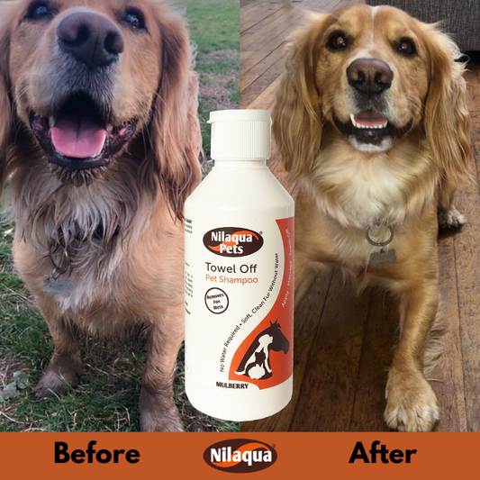 Nilaqua No Rinse Pet Shampoo 500ml - Nilaqua