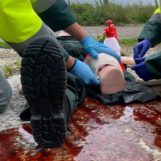 Celox Academy Shoulder Training Kit - Celox