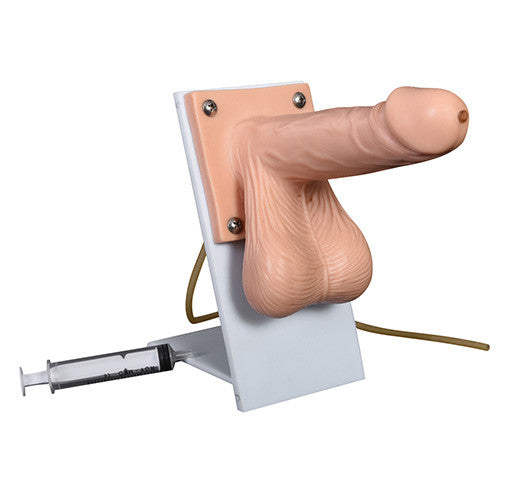 Condom Training Model -