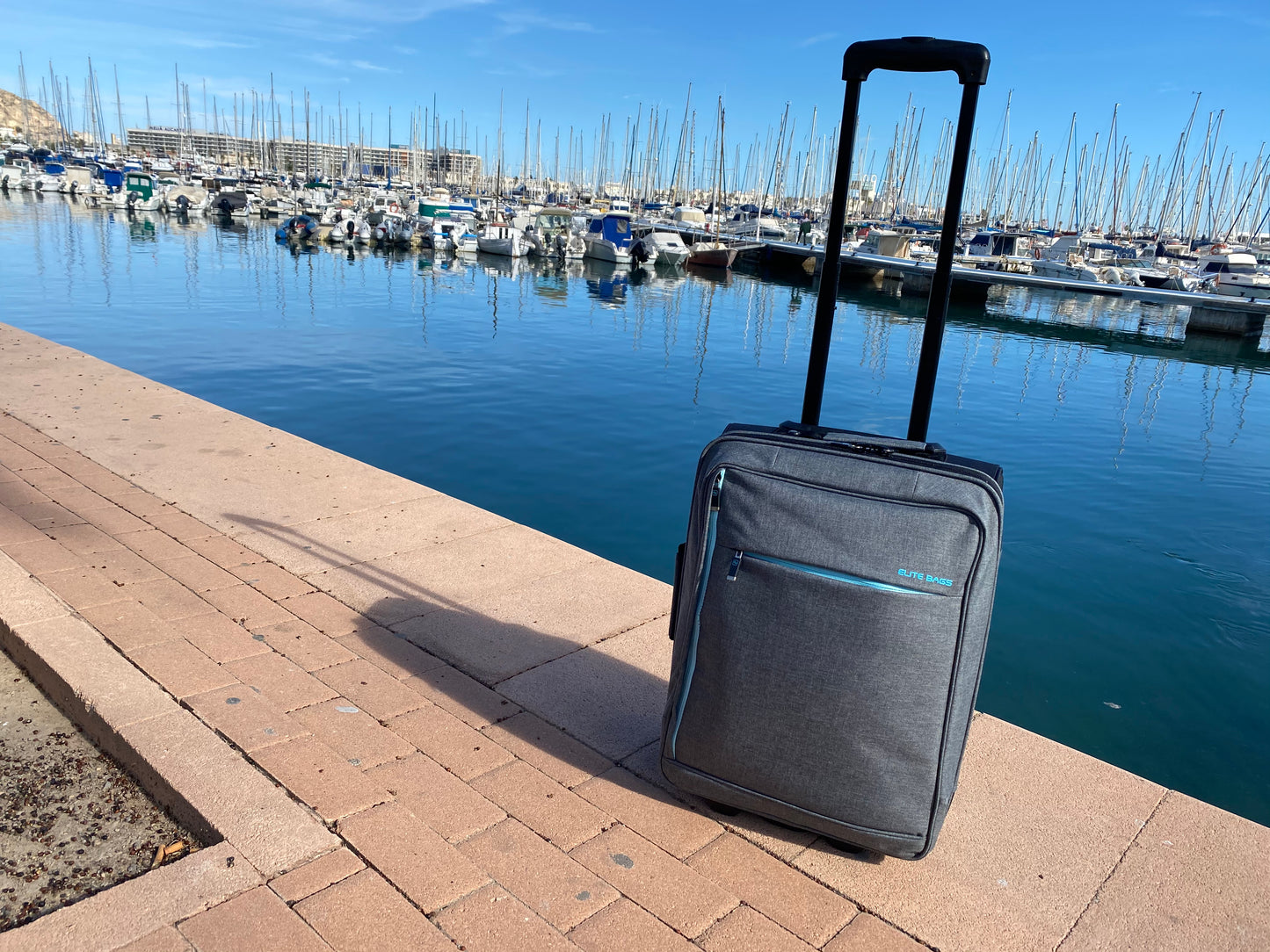 Elite Bags HOVI's Home Calls Trolley Bag -