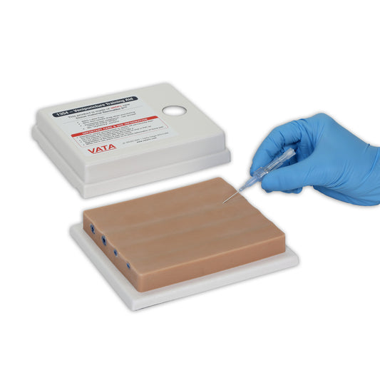 Four-Vein Venipuncture Training Aid - Dermalike II™ Latex Free -