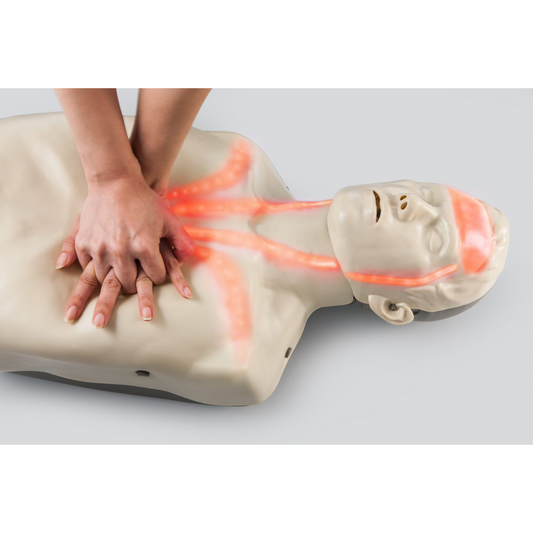 Brayden Adult Advanced Manikin - Red Light - Brayden
