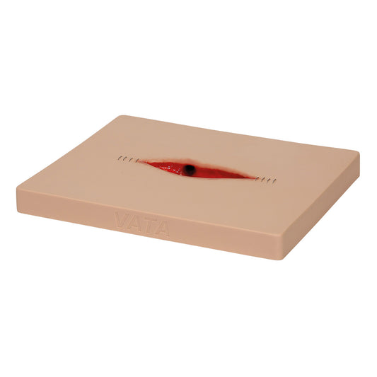 Dehisced Wound Board, light - 3B Scientific