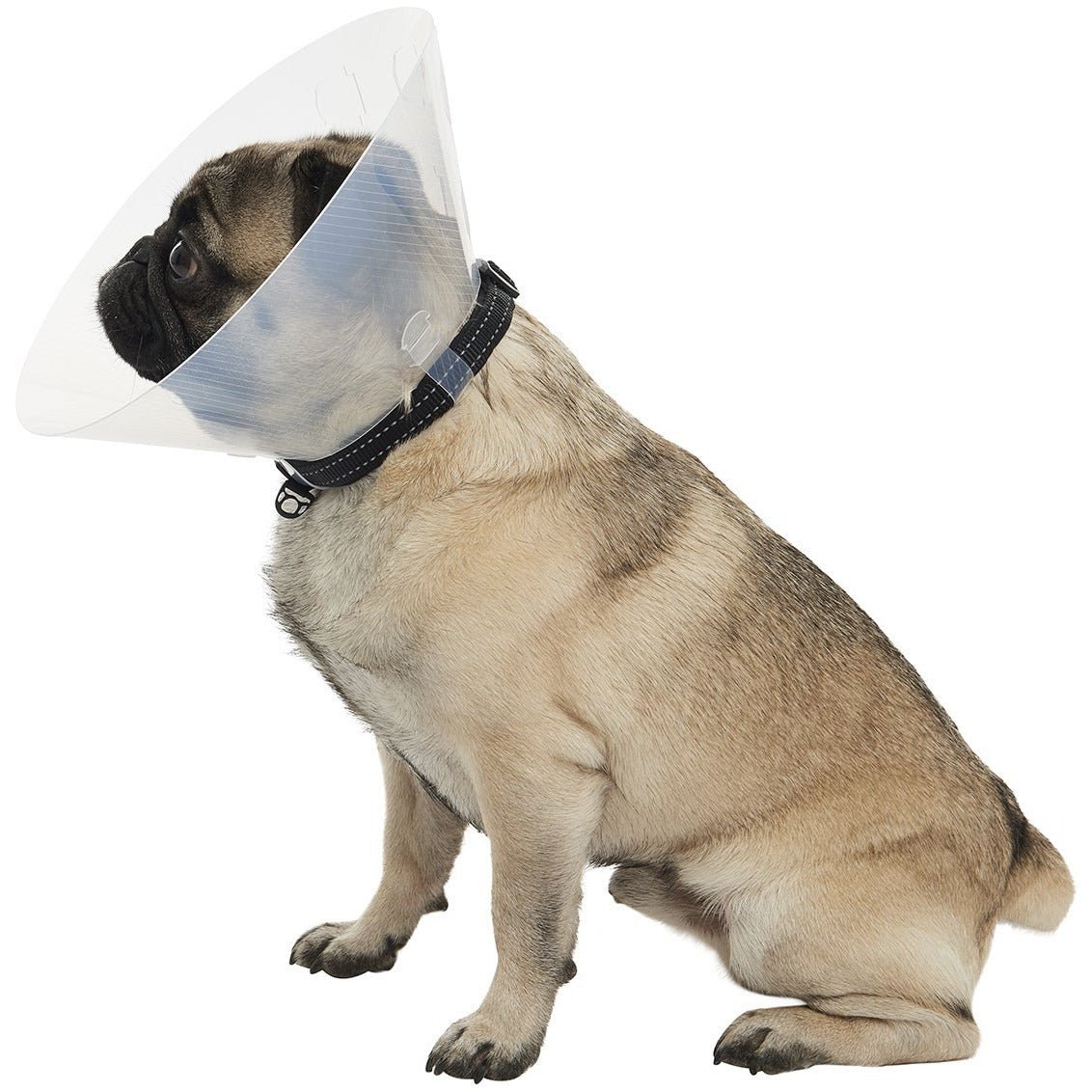 Buster E-Collar For Dogs Small - Pack of 10 - MWI Animal Health