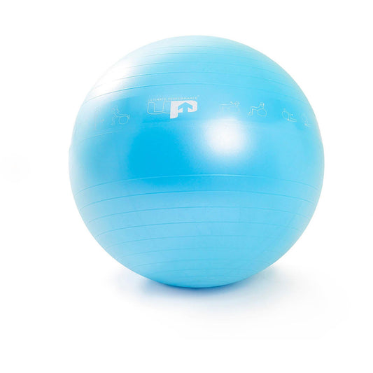 Performance Gym Ball 75cms
