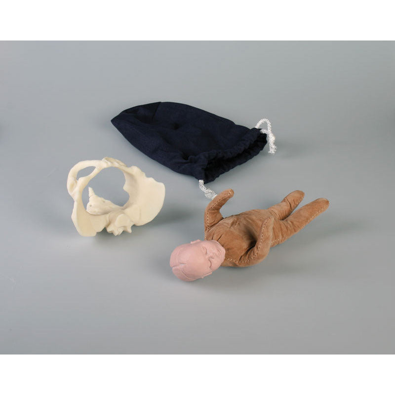 Miniature Birth Demonstration Set with Foetus Doll - Health Edco