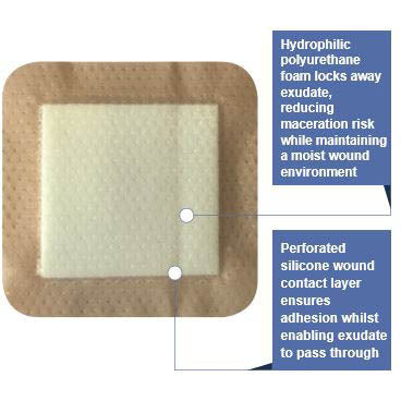 Hydrophilic Foam Dressing with Soft Silicone Wound Contact Layer & Border 10cm x 20cm – Box of 10