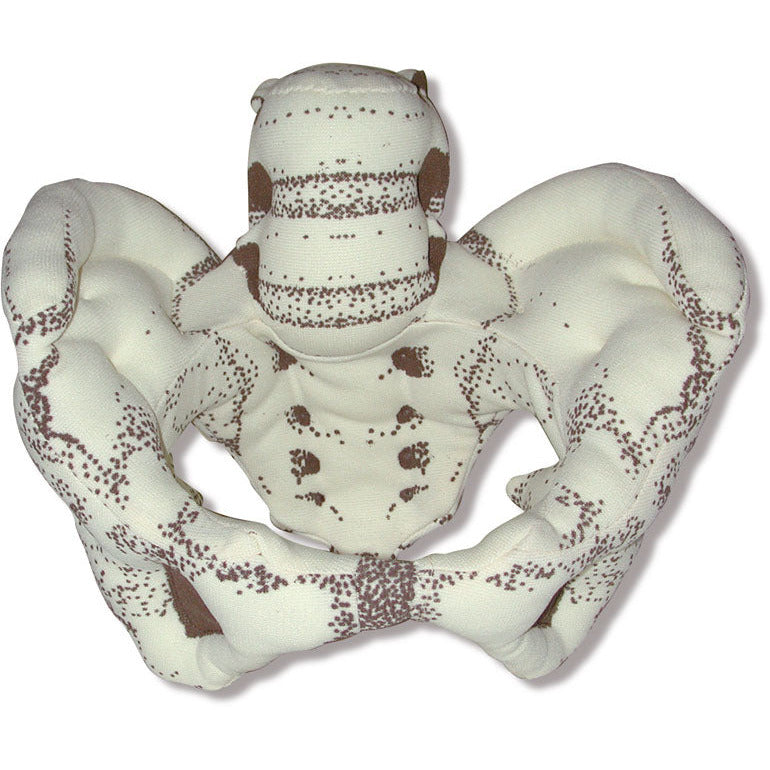 Cloth Pelvis - Health Edco