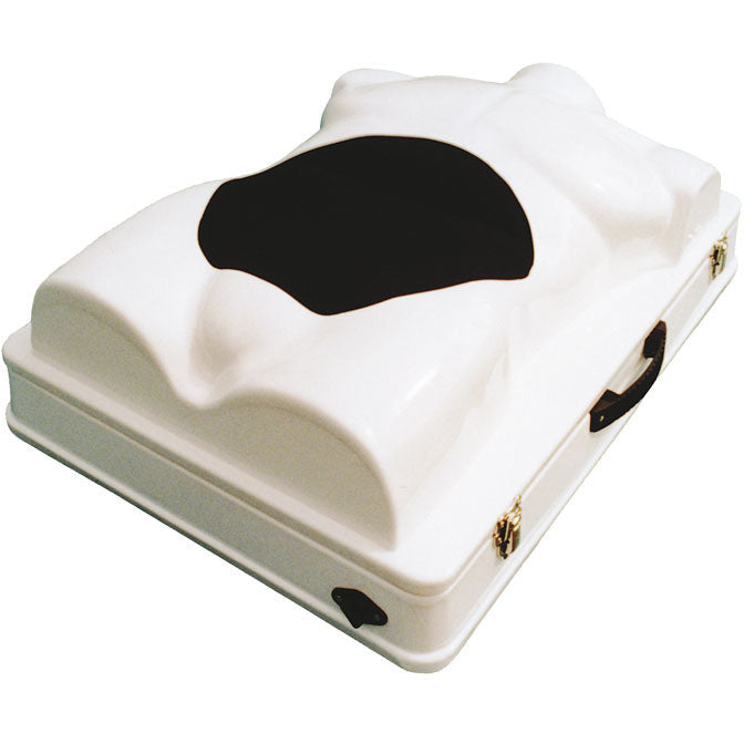 Surgery & Laparoscopy Torso with Diathermy - Erler Zimmer