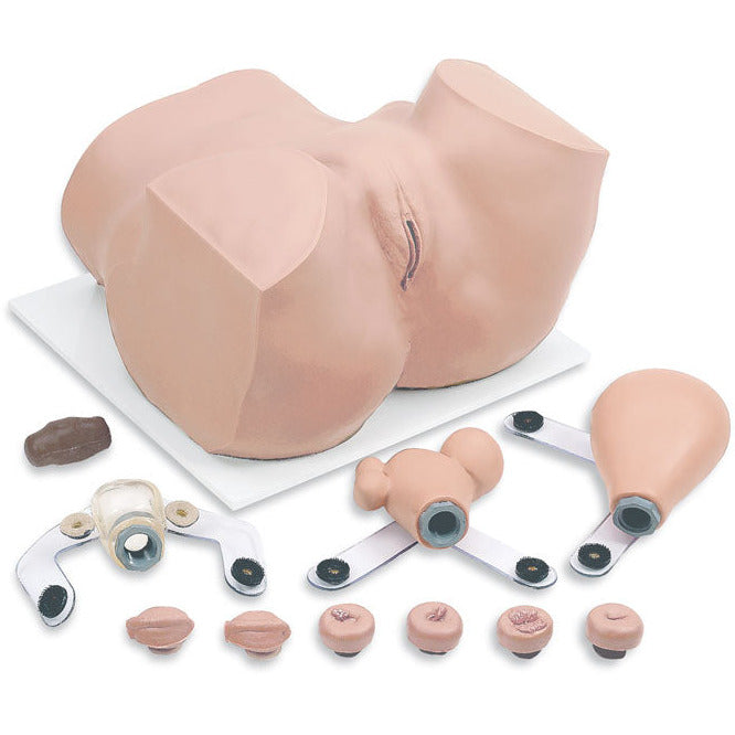 Gynecological Training Manikin - Erler Zimmer