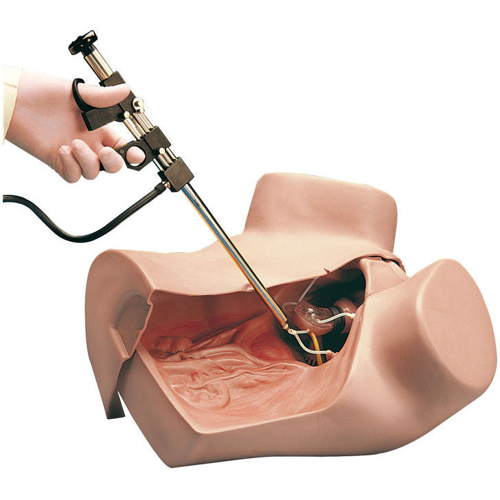 Gynaecologic Simulator - Erler Zimmer