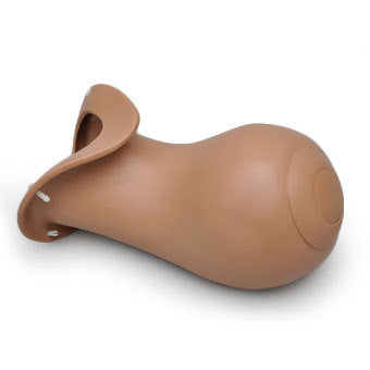 PostPartum uterus for R10183 - Erler Zimmer