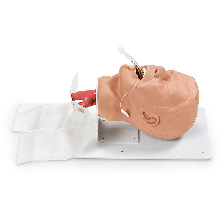 Economy Adult Airway Management Trainer with Board - Erler Zimmer