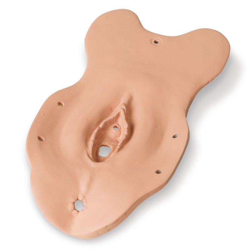 Pre-Puberty Module - Erler Zimmer