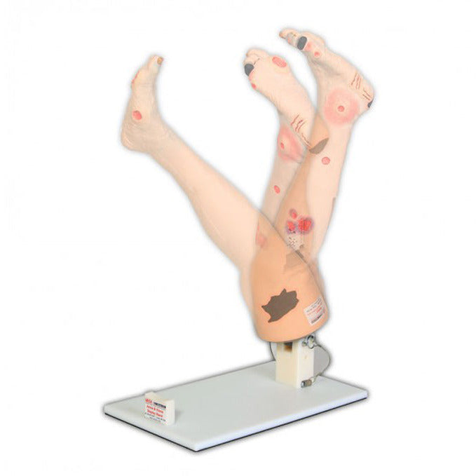 Display Stand for Vinnie or Annie - Erler Zimmer