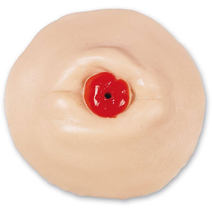 Retracted Ostomy Care Training Model - Erler Zimmer