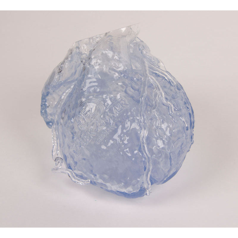 Transparent Reproduction of a real human Heart with hollow Coronaries - Erler Zimmer