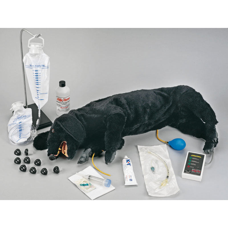 Advanced CPR Dog - Erler Zimmer