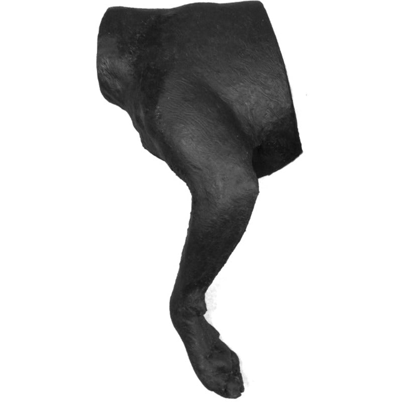 Canine Bandaging Forelimb - Erler Zimmer