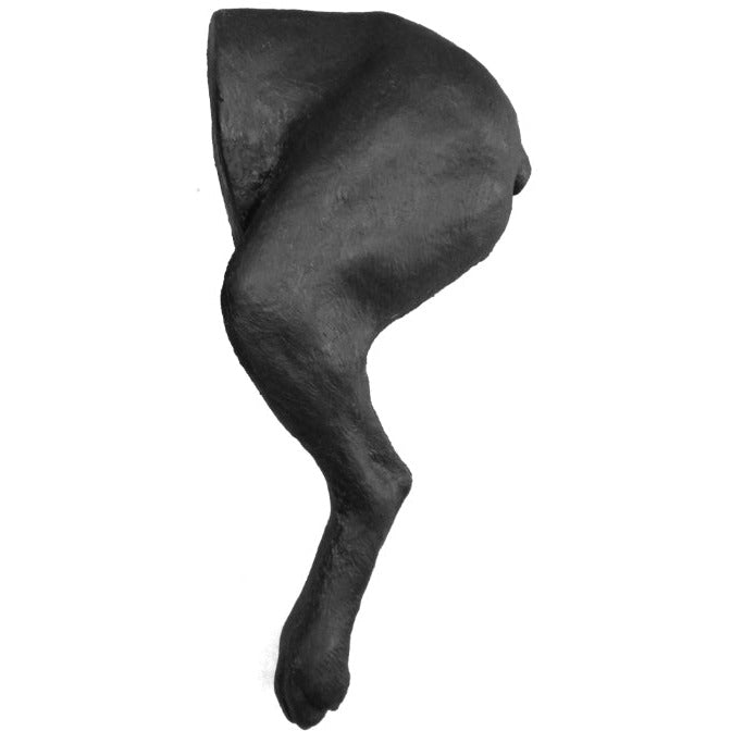 Canine Bandaging Hind Limb - Erler Zimmer