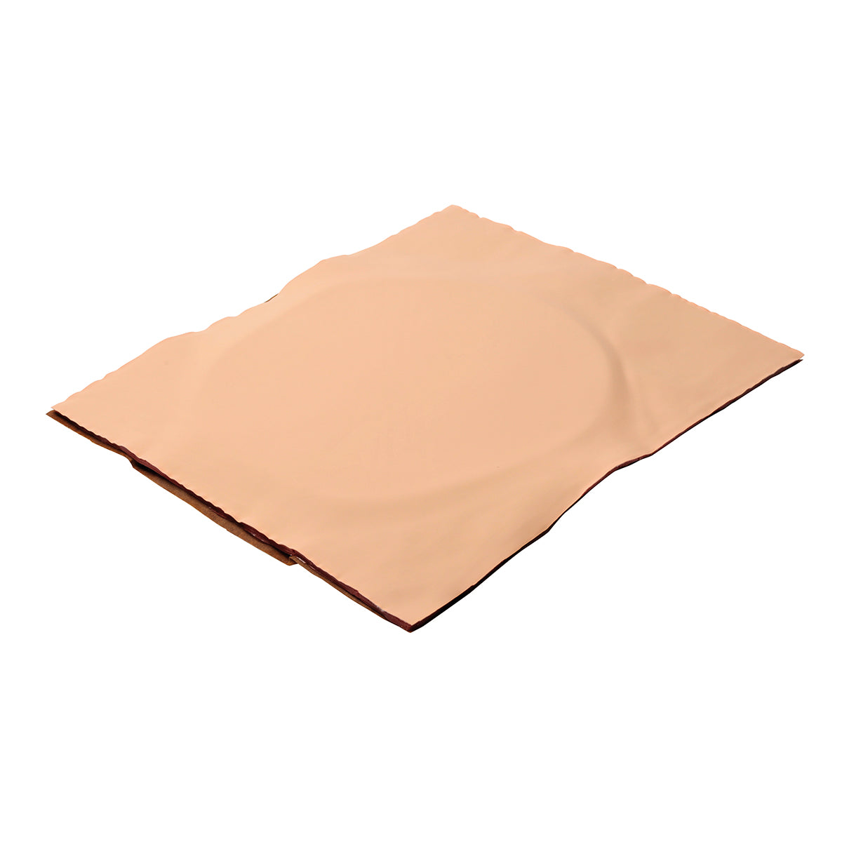 Abdominal Skin with Fatty Tissue - 3B Scientific