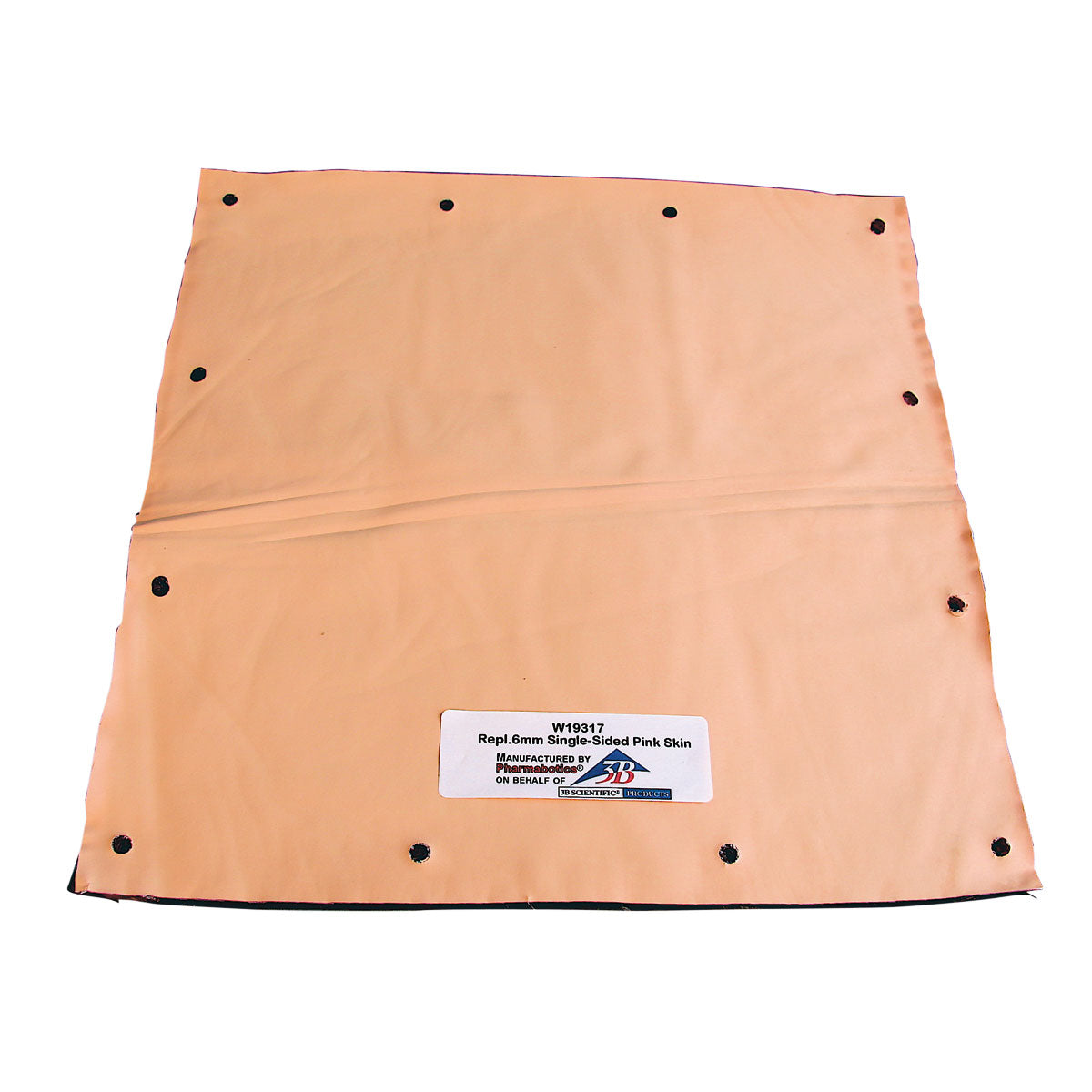 Pink Skin with Fatty Tissue for 1005139 - 3B Scientific