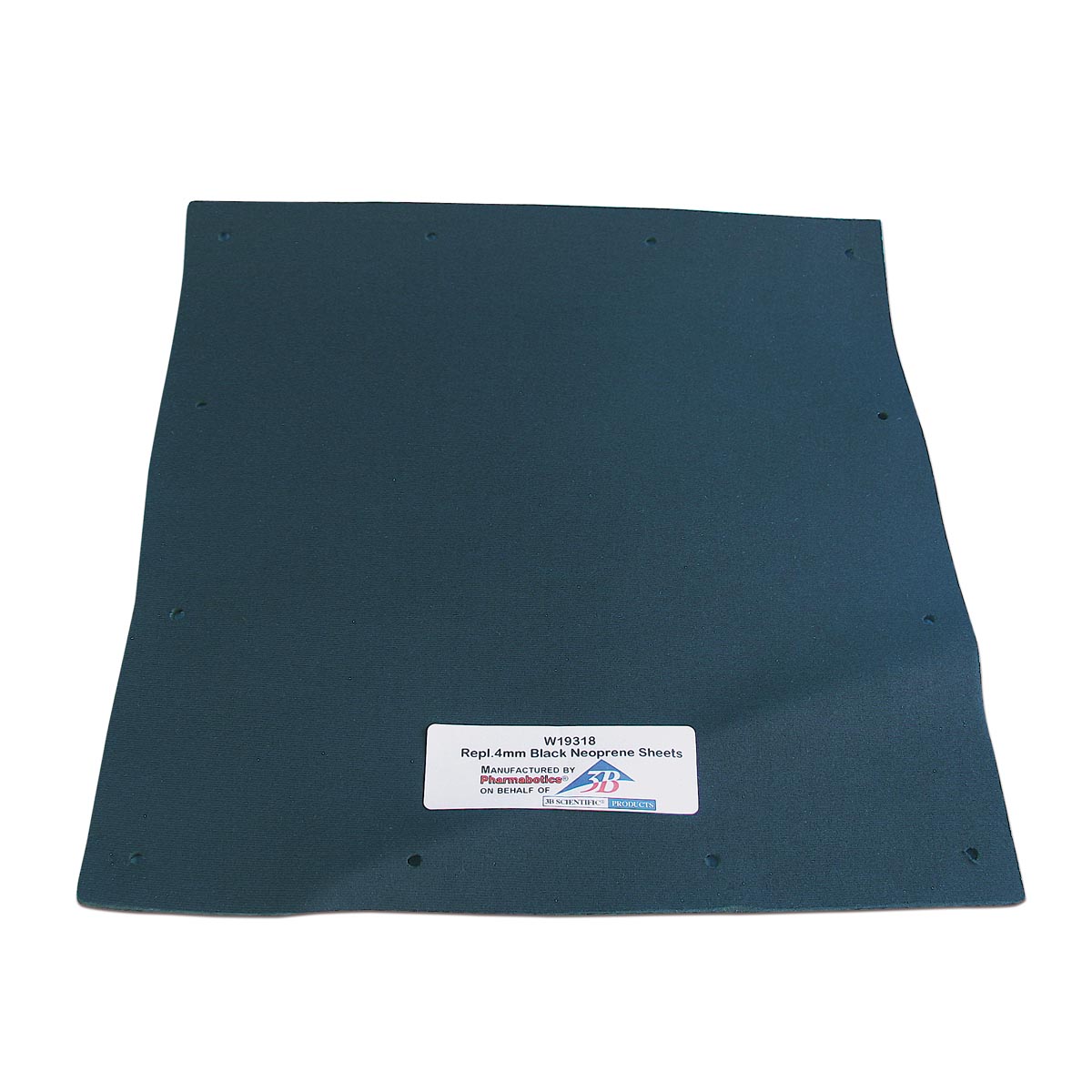 2 Neoprene Sheets, black, 4 mm for 1005139 - 3B Scientific