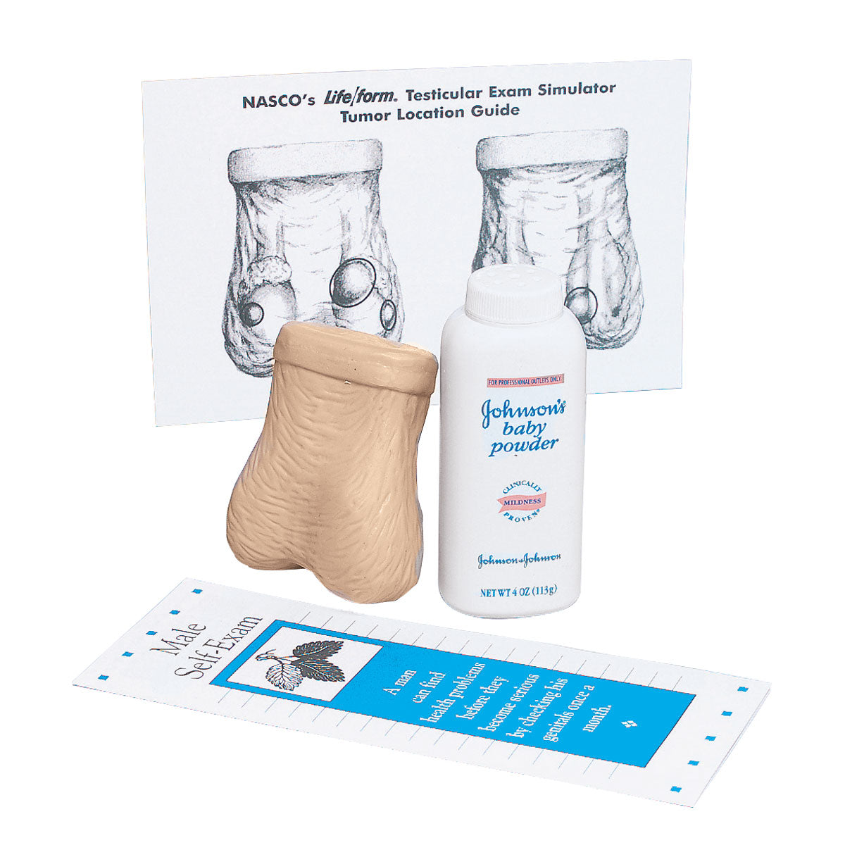 Testicle Self Examination Model - 3B Scientific