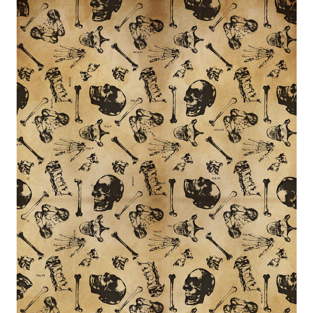 Medinc Gift Wrap: Anatomy - Single Sheet -