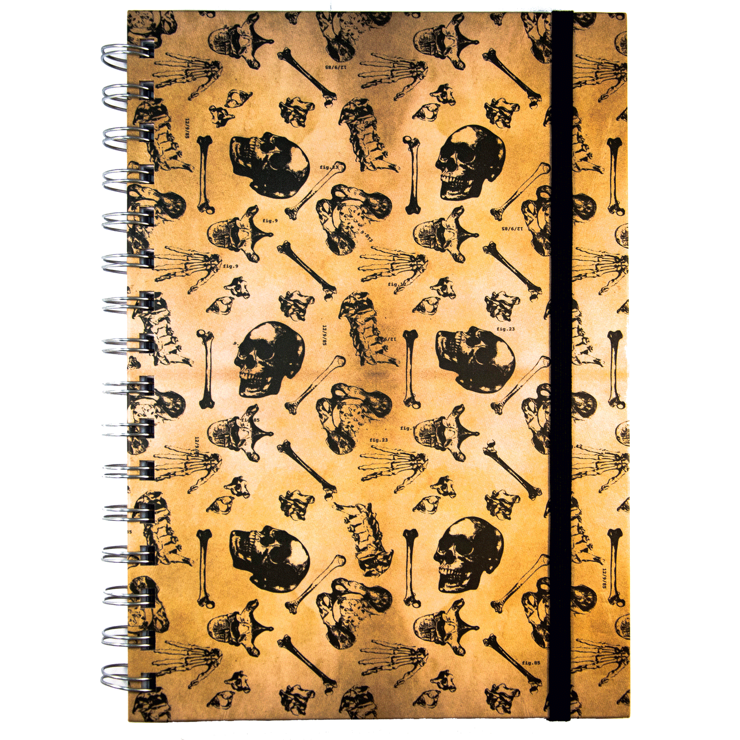 Human Bone Anatomy Ringbound Notebook - A5 - Medinc