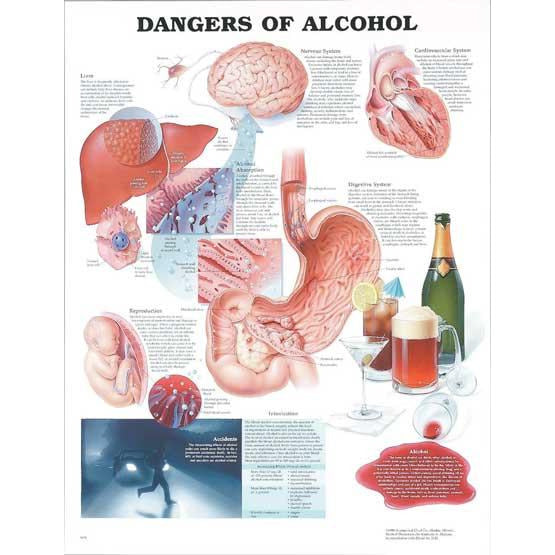 Poster: Dangers Of Alcohol