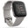 Fitbit Versa 2 - Stone/ Mist Grey