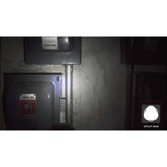 Coast HL5 Head Torch (175 Lumens) - Coast