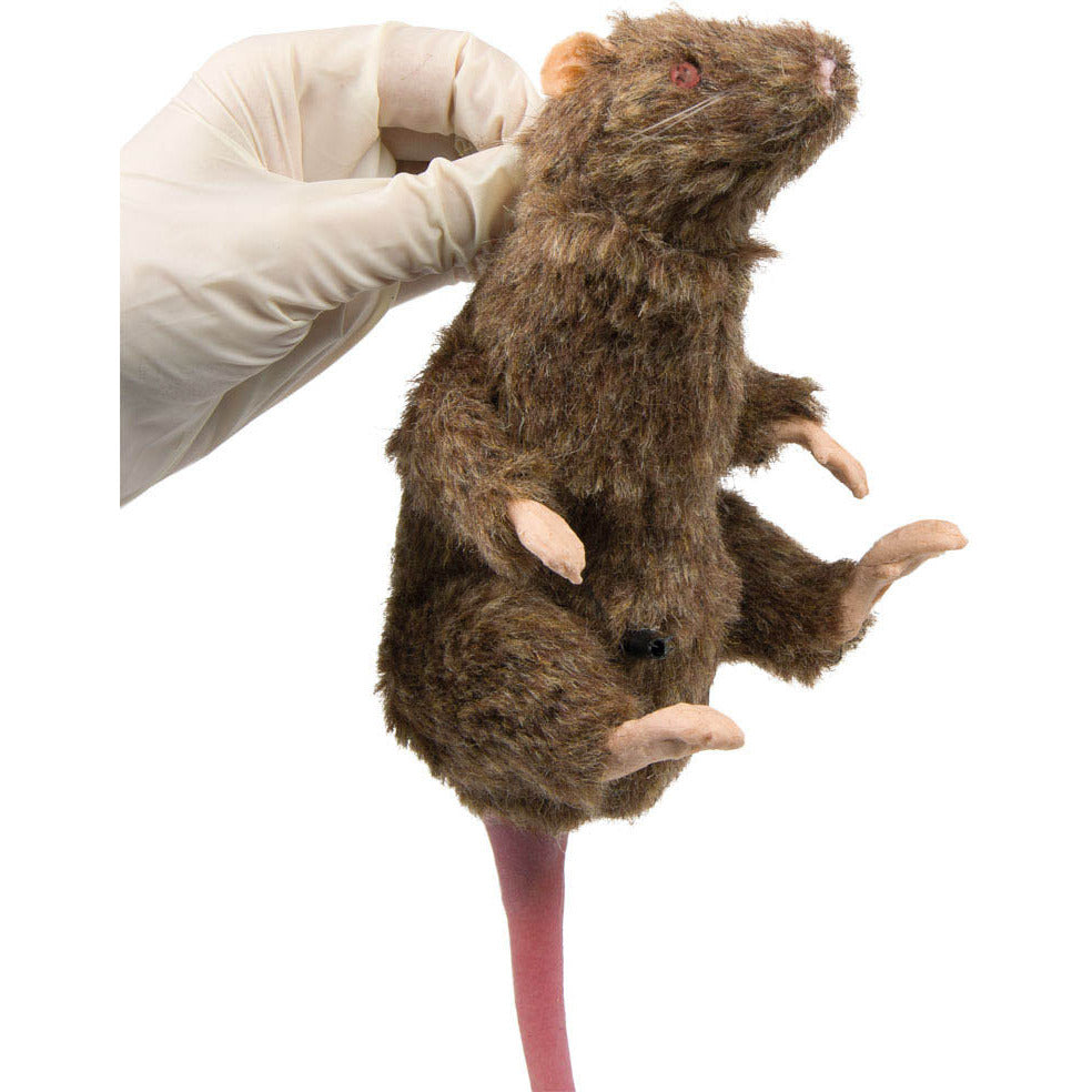 Squeekums - Erler Zimmer