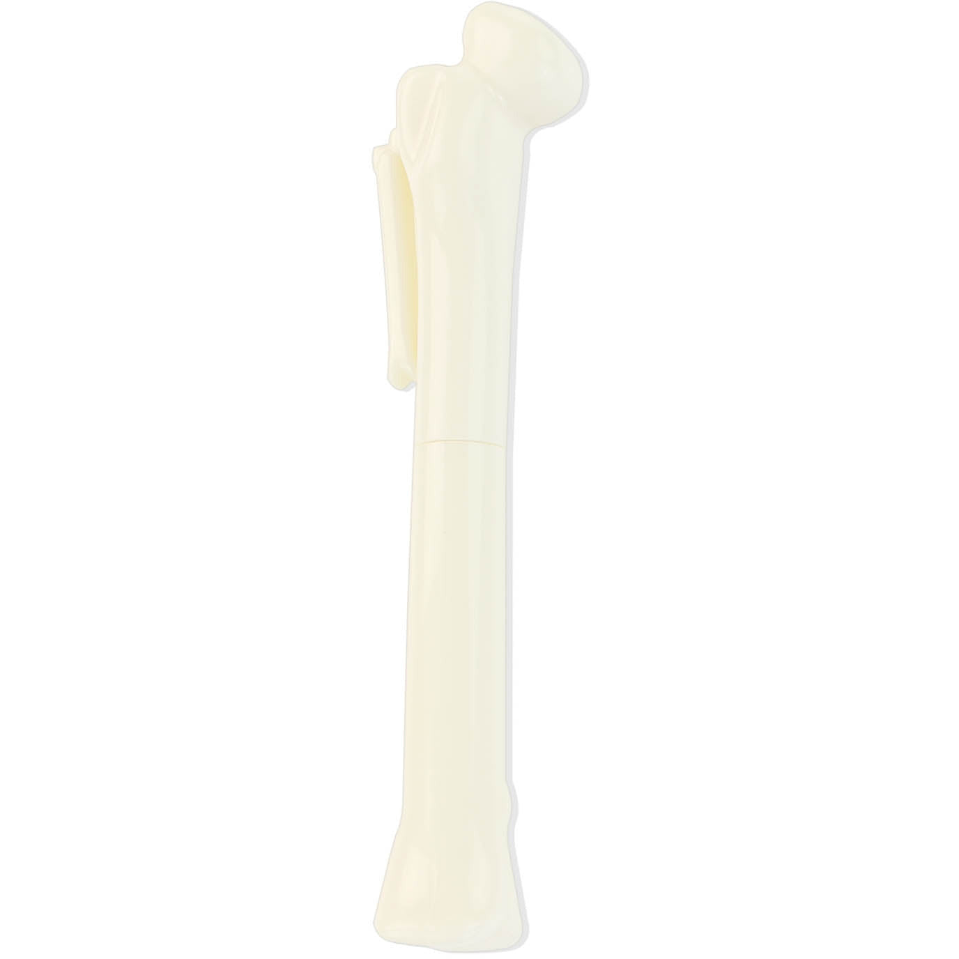 Femur Bone Shaped Pen -