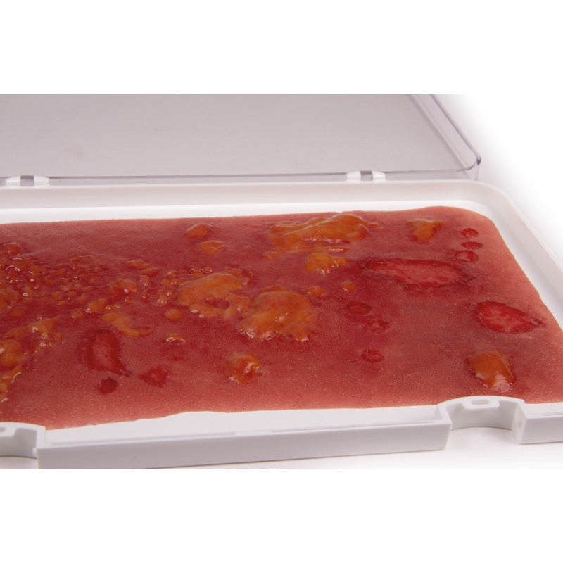 Wound Moulage 2nd Degree Burn - Large - Erler Zimmer