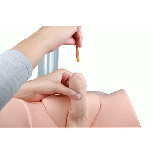 Catheterisation Model - Male