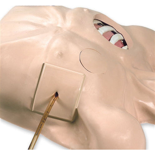 Chest Tube Manikin - Erler Zimmer