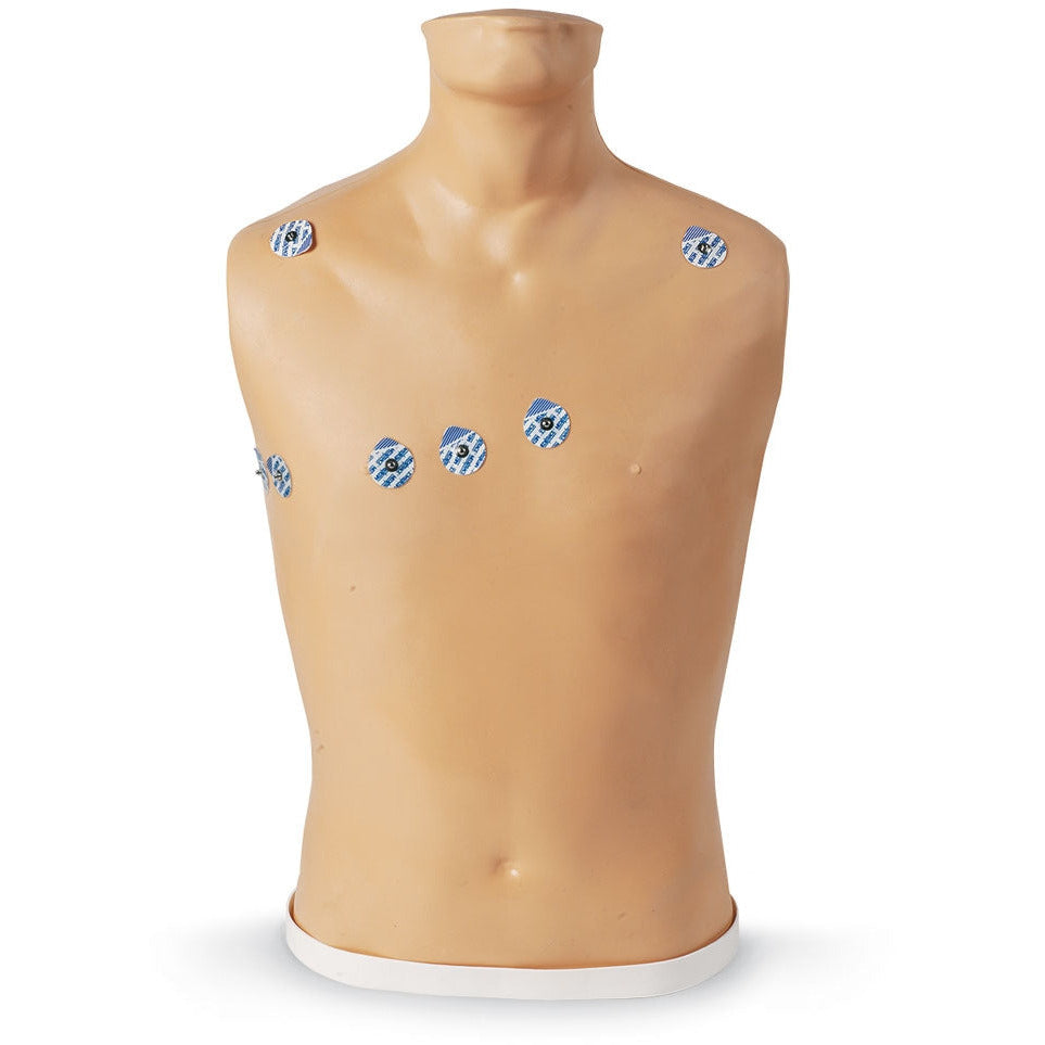 15-Lead ECG Placement Trainer - Erler Zimmer