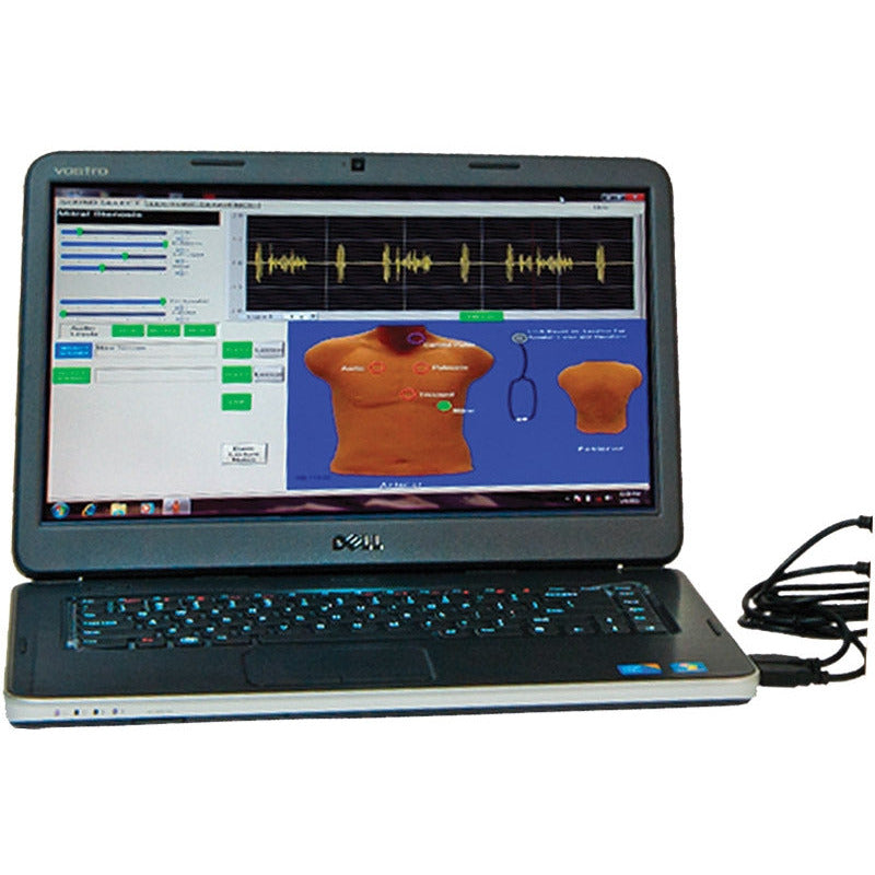 SAM II - Student Auscultation Manikin - Erler Zimmer