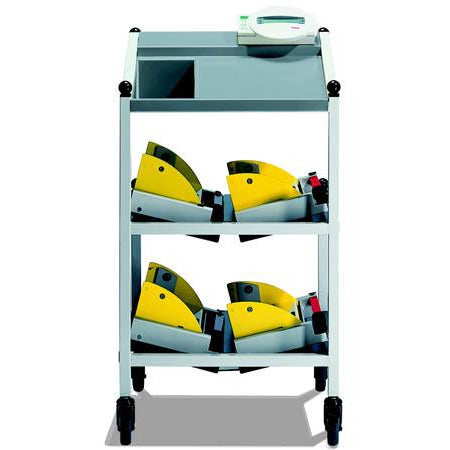 SECA Electronic Bed and Dialysis Scale - Medical Class 3