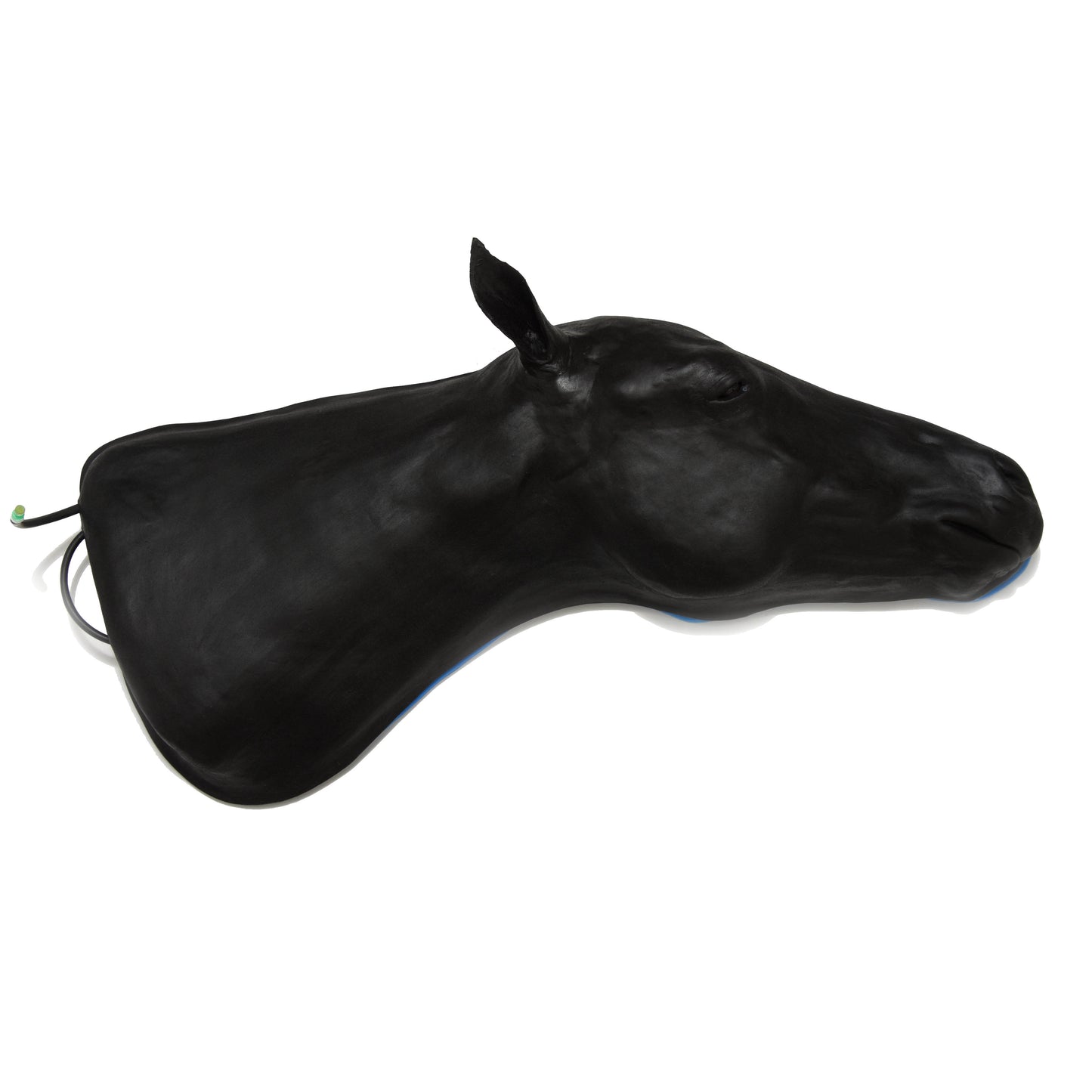 Equine Simulator 1.0 - Erler Zimmer