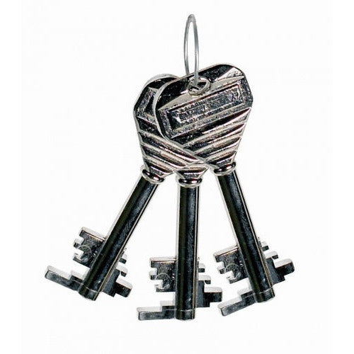 Additional/Replacement Drug Cabinet Key - Sunflower