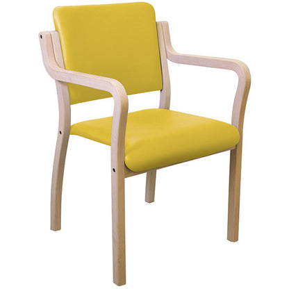 Sunflower Genisis Easy Access Seat with Arms