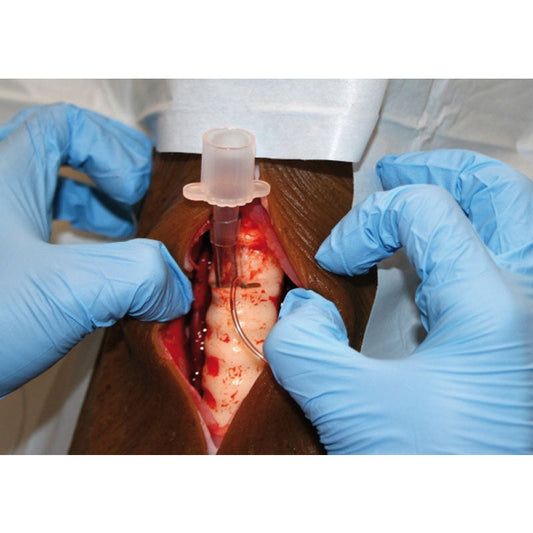 Louie K9 Tracheostomy Model - Erler Zimmer