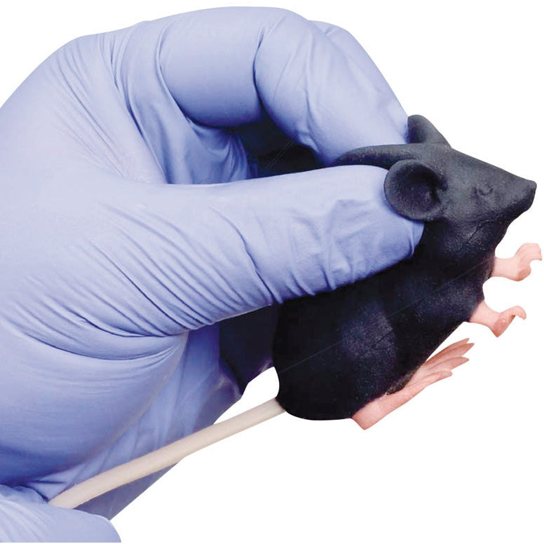 Mimicky Mouse - Erler Zimmer