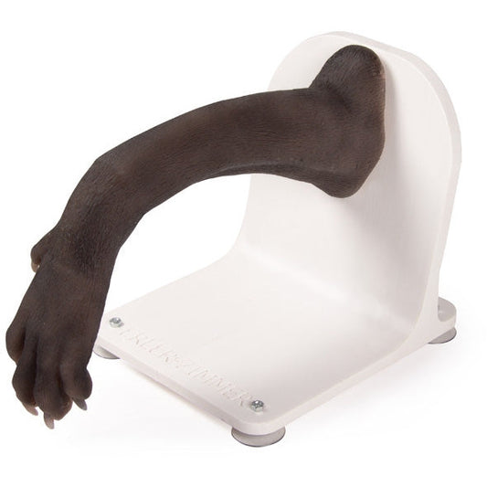 Bandage Trainer Canine Paw - Erler Zimmer