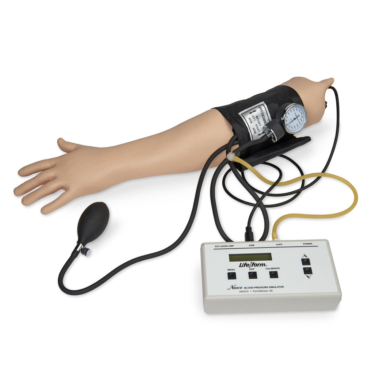 Blood Pressure Simulator - 3B Scientific